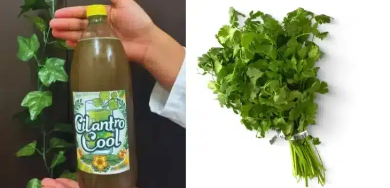 Cilantro Cool, nuevo refresco de cilantro creado en México/ Excelencias Gourmet